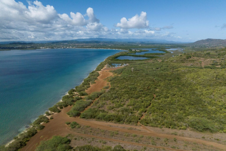 Vue aérienne prise par drone de l'emplacement du projet Esencia de création de logements et d'hôtels à Cabo Rojo, le 15 juillet 2025 à Porto Rico ( AFP / Ricardo ARDUENGO )