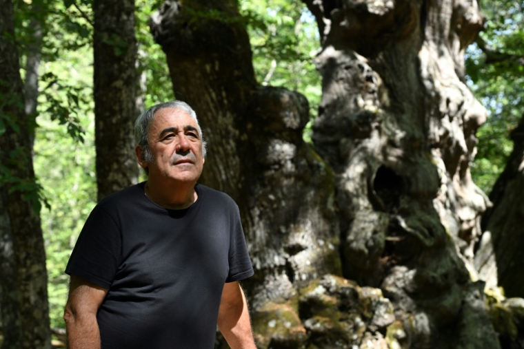 Javier Garcia, un des habitants ayant sauvé des flammes le châtaignier monumental surnommé "El Abuelo", pose à ses côtés quelques jours après le passage d'un incendie de forêt dans la zone, près d'El Tiemblo (Espagne), le 30 juillet 2026 ( AFP / JAVIER SORIANO )