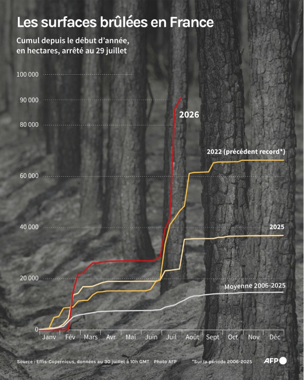 Évolution des surfaces brûlées en France depuis le début de l'année 2026, et comparaison avec la moyenne entre 2006 et 2025, et les années particulièrement destructrices 2022 et 2025, pour des feux de plus de 30 hectares ayant débuté jusqu'au 29 juillet 2029, selon les données Effis-Copernicus. ( AFP / Luca MATTEUCCI )