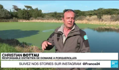 Sécheresse en France : à Porquerolles, des eaux usées pour l'agriculture