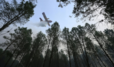 Un Canadair largue de l'eau sur la forêt en flammes à Luglon, dans les Landes, le 14 août 2026 ( AFP / Gaizka IROZ )