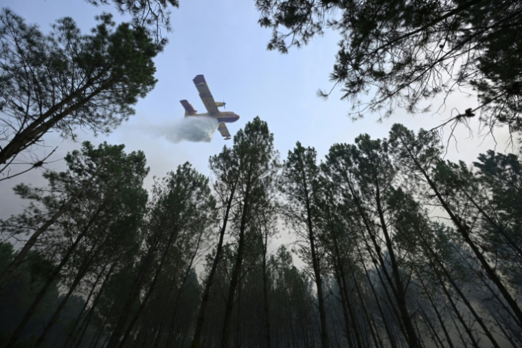 Un avion de lutte contre les incendies CL-415 de la Sécurité civile française, de type Canadair, déverse de l'eau sur les arbres d'une forêt lors d'un incendie de forêt à Luglon, dans le sud-ouest de la France, le 14 août 2026 ( AFP / Gaizka IROZ )