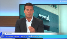 Licornes en Bourse : pourquoi elles boivent la tasse !