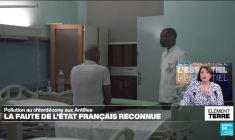 Pollution au chlordécone aux Antilles: la faute de l'Etat reconnue
