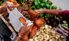Une personne achète des légumes dans le centre de La Havane, Cuba