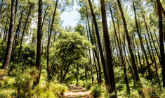 GFI, une épargne responsable et des avantages fiscauxiStock-DEBOVE SOPHIE