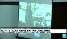 Égypte : cinq ans de prison pour Alaa Abdel Fattah, l'un des leaders de la révolution
