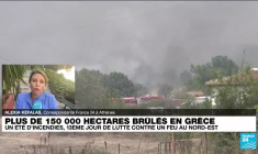 Plus de 150 000 hectares brûlés en Grèce : un été d'incendies, 13 ème jour de lutte contre un feu au Nord-est