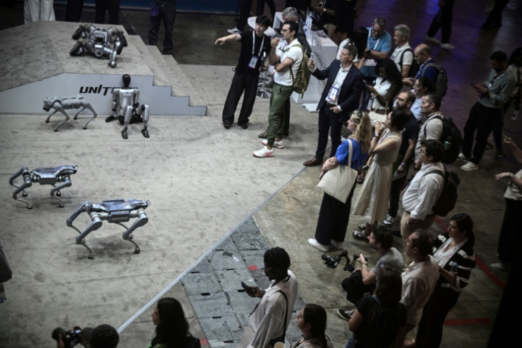 Des visiteurs observent les robots de la société Unitree Robotics lors du salon VivaTech, le 17 juin 2026 à Paris ( AFP / JULIEN DE ROSA )