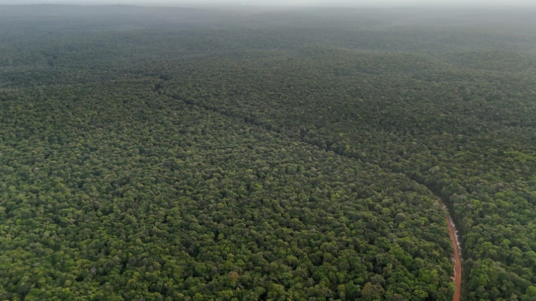 La piste en terre reliant sur près de 500 km Georgetown, capitale du Guyana, à Lethem, dans le sud-ouest, à la frontière du Brésil, le 28 août 2025 ( AFP / Joaquin Sarmiento )
