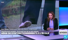 Harcèlement scolaire : marche blanche pour Camélia ce dimanche à Mitry-Mory