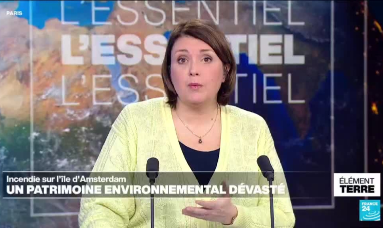 Incendie sur l'île d'Amsterdam: un trésor de biodiversité dévasté
