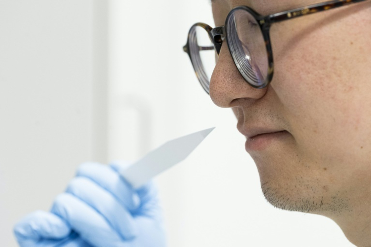 L'élève parfumeur Shangyun Lyu sent une bande odorante utilisée pour évaluer les parfums dans le laboratoire du chimiste allemand Symrise, à Holzminden, le 8 juillet 2025 en Allemagne ( AFP / MICHAEL MATTHEY )