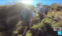 À La Réunion, les abeilles victimes d'un parasite