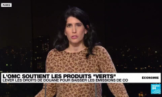 Les solutions des institutions économiques et financières pour protéger le climat