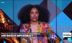 Préserver la splendeur de la faune et la flore africaine : une mission impossible ?