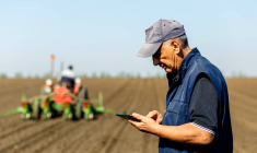iStock-Zoran Zeremski