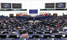 ( AFP / FREDERICK FLORIN )