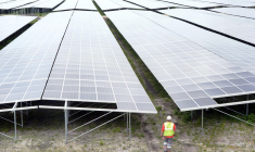 Une centrale solaire construite par Neoen à Cestas. ( AFP / MEHDI FEDOUACH )