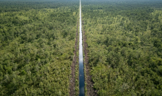 Vue aérienne d'un canal traversant la forêt de tourbières près d'une plantation d'acacias à Lebung Itam, dans le sud de Sumatra, le 11 juin 2025 en Indonésie ( AFP / STR )