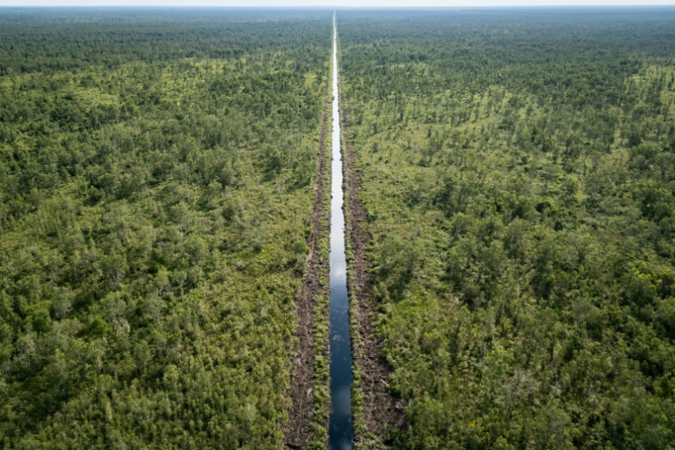 Vue aérienne d'un canal traversant la forêt de tourbières près d'une plantation d'acacias à Lebung Itam, dans le sud de Sumatra, le 11 juin 2025 en Indonésie ( AFP / STR )