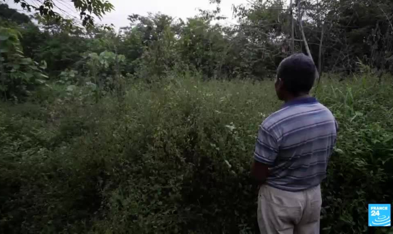 Cambodge : vrai carbone, faux crédits? Enquête sur une déforestation massive
