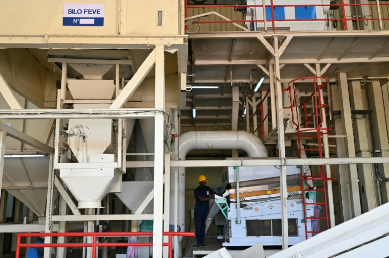 Dans l'usine de chocolat des frères Diakaté, à Divo, en Côte d'Ivoire, en octobre 2025 ( AFP / Issouf SANOGO )
