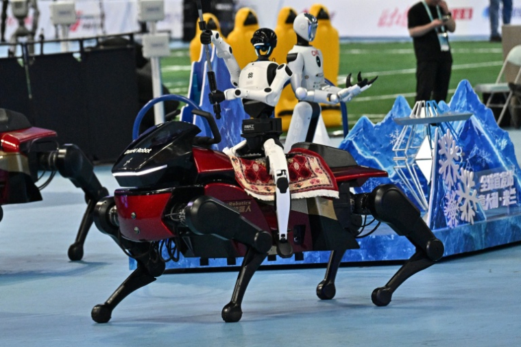 Des robots humanoïdes aux World Humanoid Robot Games à Pékin le 22 août 2026 ( AFP / Pedro PARDO )