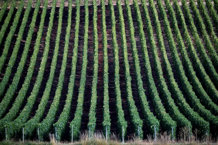LES EXPÉDITIONS DE CHAMPAGNE ONT CHUTÉ DE 18% EN 2020 AVEC LA PANDÉMIE