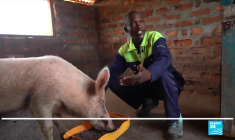 "BMK Paris-Bamako", la destination savoureuse des frères Djikine