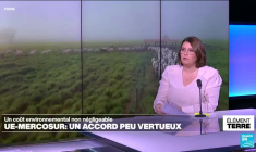 UE-Mercosur: un accord au coût environnemental non négligeable