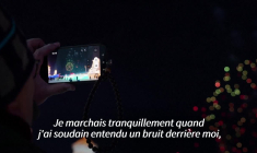 Chine: le festival annuel de sculptures sur glace lancé par un feu d'artifice