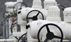 Station GRTgaz à Morelmaison (Vosges). ( AFP / SEBASTIEN BOZON )