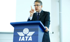 L'IATA INQUIÈTE DES DIVERGENCES ENTRE AUTORITÉS SUR LE BOEING 737 MAX