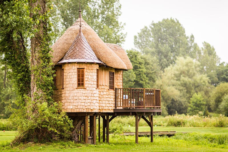 Condamné à détruire sa cabane perchée dans les arbres (Crédit Photo: Matthew Harwood - Unsplash)
