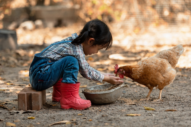 La vie à la ferme et le contact avec les animaux «protègent» contre la survenue des manifestations d'allergie pendant l'enfance. (crédit : Adobe Stock)