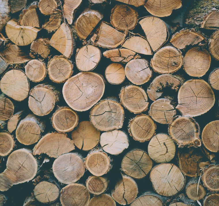 (Crédits photo : Unsplash - Ramiz Dedakovic )