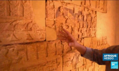 Alphonse Bilé, directeur régional FIBA Afrique : "Il y a une progression nette du basket africain"