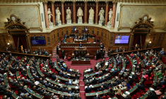 ( AFP / THOMAS SAMSON )