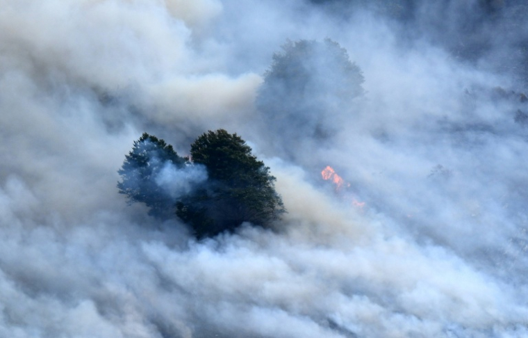 Une épaisse fumée enveloppe des arbres près d'Etsaut, dans les Pyrénées-Atlantiques, le 6 septembre 2026 ( AFP / Gaizka IROZ )