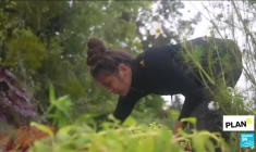 Horticulture durable : la fleur locale prend de la graine