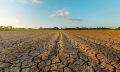 (Crédits photo : Adobe Stock -  )