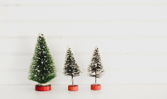 Architectes et designers revisitent le sapin de Noël (Crédit photo: Debby Hudson - Unsplash)