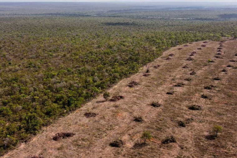 Vue aérienne de la déforestation du Cerrado à São Desidério, dans l’ouest de l’État de Bahia, au Brésil, le 25 septembre 2023 ( AFP / Florence GOISNARD )