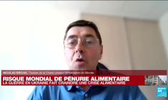 Guerre en Ukraine : doit-on craindre une crise alimentaire ?