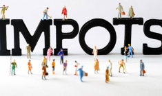 Les prélèvements obligatoires en France représentent 46,2% du PIB. (© DR)