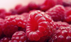 Des framboises enrobées de chocolat, la recette du succès fou de Franui. (illustration) (Pixabay / DGlodowska)