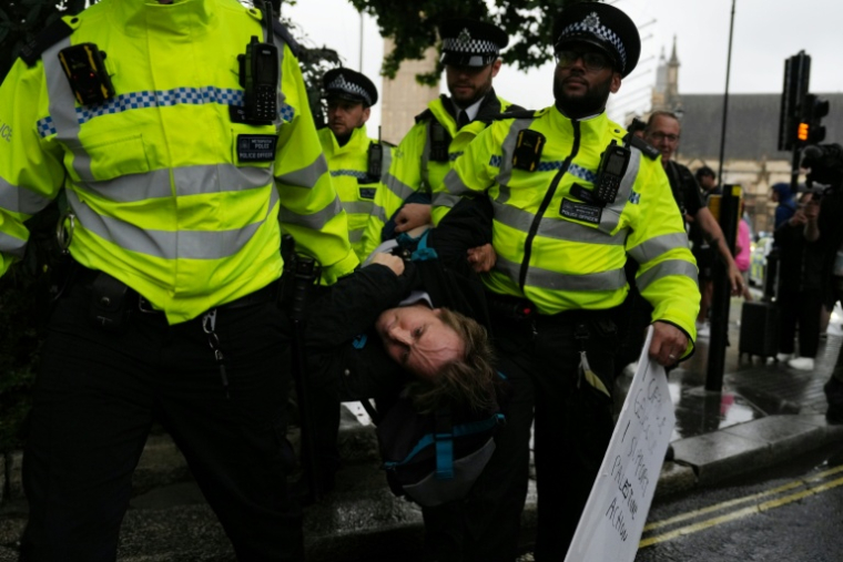 Un manifestant interpellé par la police lors d'un rassemblement de soutien au groupe Palestine Action à Londres, le 19 juillet 2025  ( AFP / CARLOS JASSO )