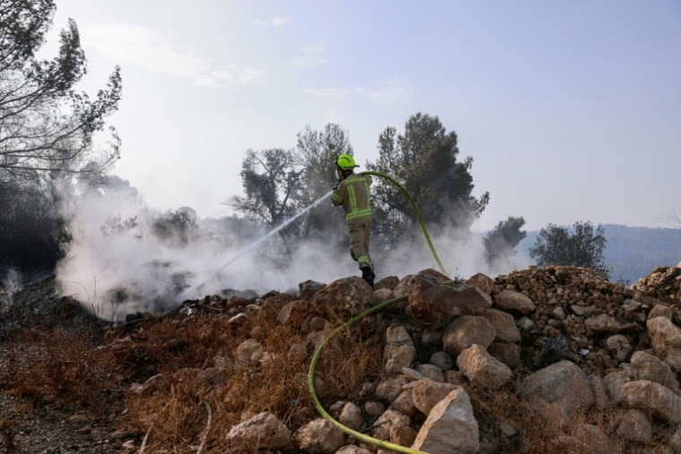 Un pompier israélien lutte contre le feu près du monastère de Latrun, le 1er mai 2025 ( AFP / Menahem Kahana )