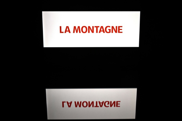 Centre France (La Montagne, Le Populaire du Centre), Prisma (Geo, Capital, Femme Actuelle, Voici...), Bayard (La Croix) ou encore Marie-Claire: "On assiste à une avalanche de plans sociaux", résume le SNJ ( AFP / Lionel BONAVENTURE )